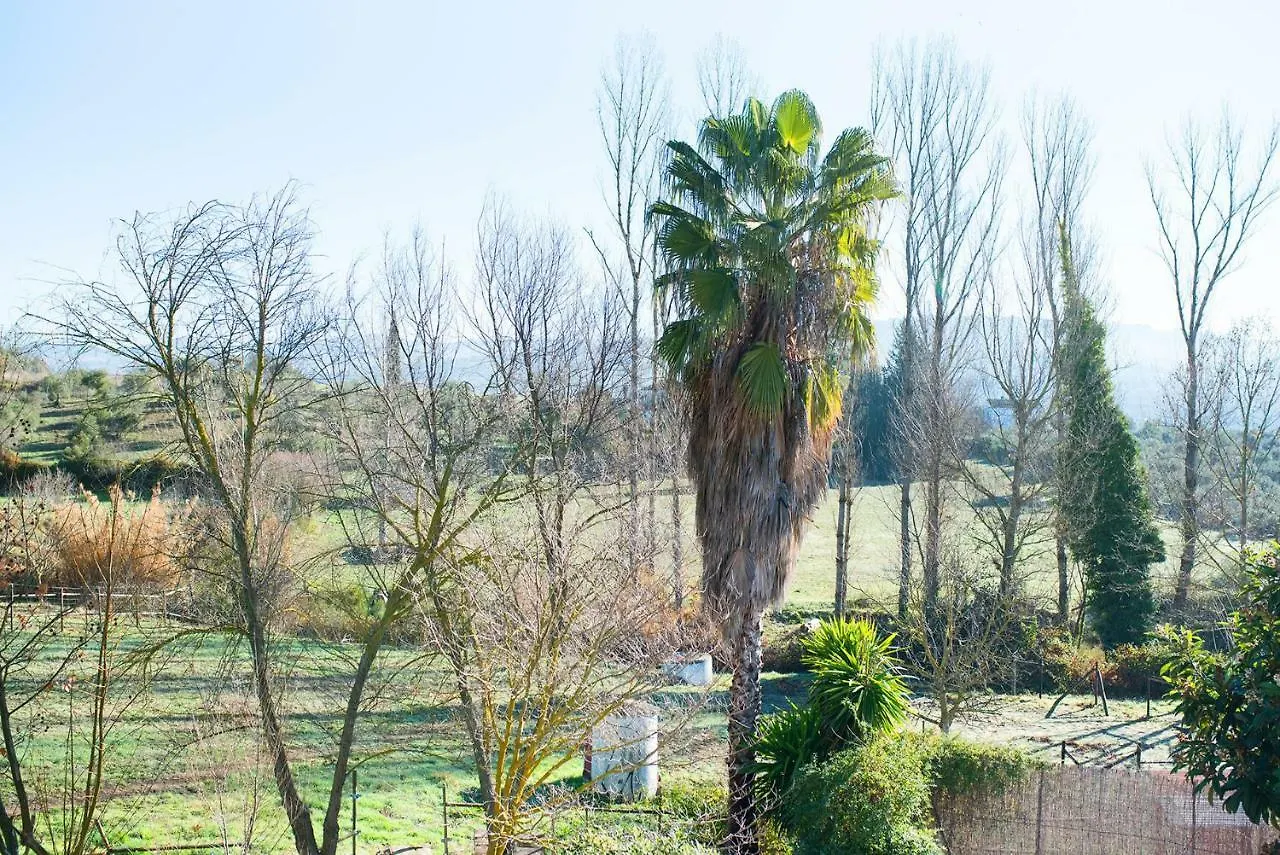 Mi Casita Guest House Ronda 0*,  Spain